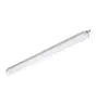 Philips Stagna LED CoreLine WT120C G2 28.6W 3700lm - 840 Bianco Freddo | 120cm 